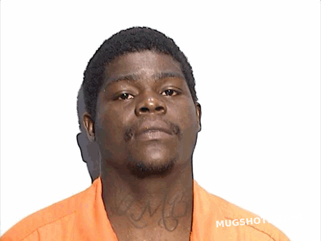 LUCAS EWAN 07/15/2024 - Lucas County Mugshots Zone