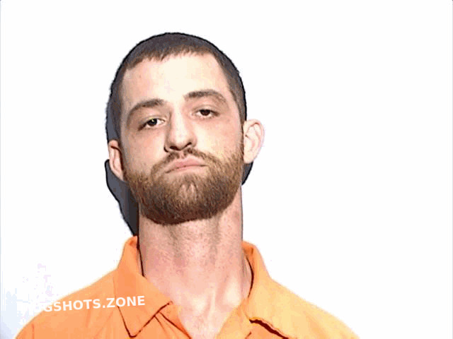 WLODARSKI LUCAS JAMES 09/30/2024 - Lucas County Mugshots Zone