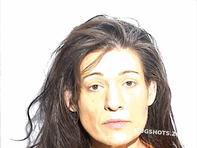 GANTZOS DIMITRIA ANN 01 18 2025 Lucas County Mugshots Zone HEk4lyHaJYpV3y1QxV7G