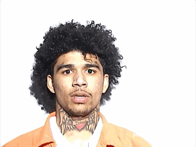 CRAIG CHARLES 03/22/2025 - Lucas County Mugshots Zone