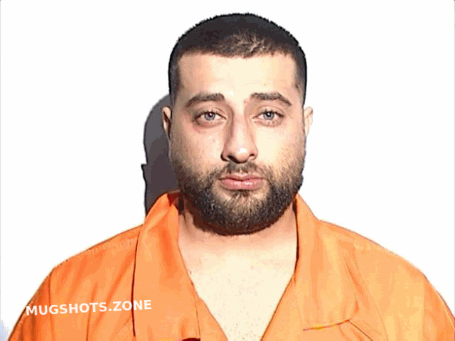 KHECHEN TAMER HASSAN 06/23/2025 - Lucas County Mugshots Zone