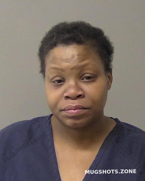 HOUSTON CRYSTAL ANN 04/19/2023 Macon County Mugshots Zone