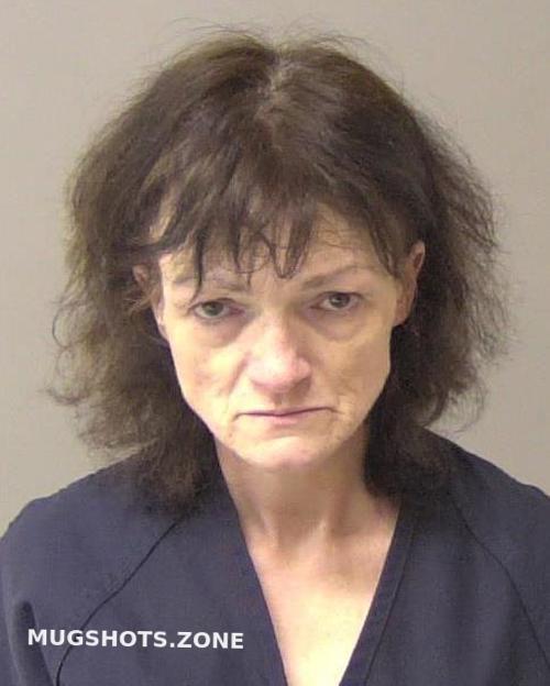 KING MISTY ANN 04/01/2024 - Macon County Mugshots Zone