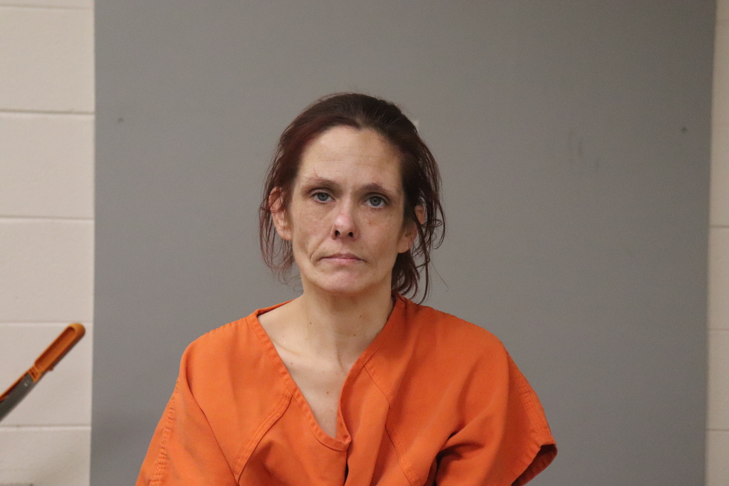 LEE KIMBERLY SUTTLES 01/27/2021 - Madison County Mugshots Zone