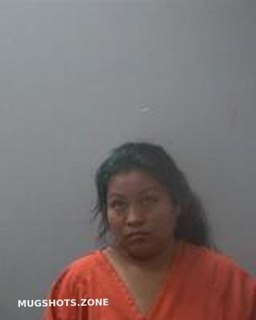 ROMELINA LOPEZ VAZQUEZ 01/26/2023 - Madison County Mugshots Zone