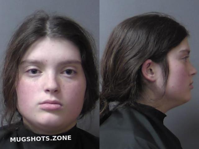 Brackett Madison Brianna Jean 03 22 2024 Madison County Mugshots Zone