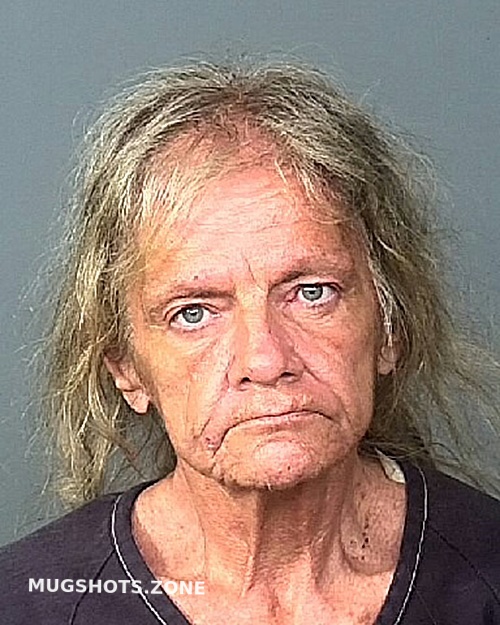 FRITZMAN CATHY L 09/04/2022 - Manatee County Mugshots Zone