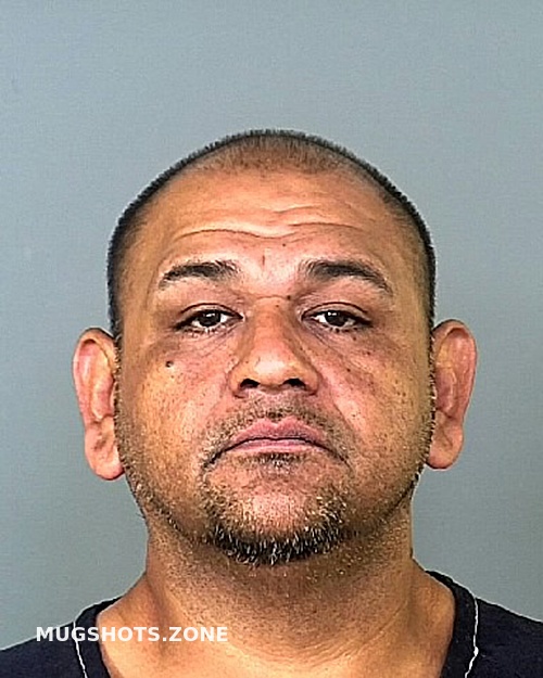 MARES JAVIER 09/08/2022 Manatee County Mugshots Zone