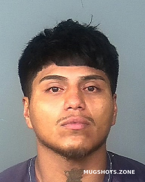 Gonzalez Diaz Gregorio 10 25 2022 Manatee County Mugshots Zone