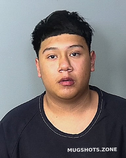 BETANCOURT ESTEVAN 01/12/2023 Manatee County Mugshots Zone