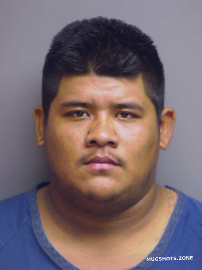 PINA FRANCISCO 01/18/2023 Manatee County Mugshots Zone