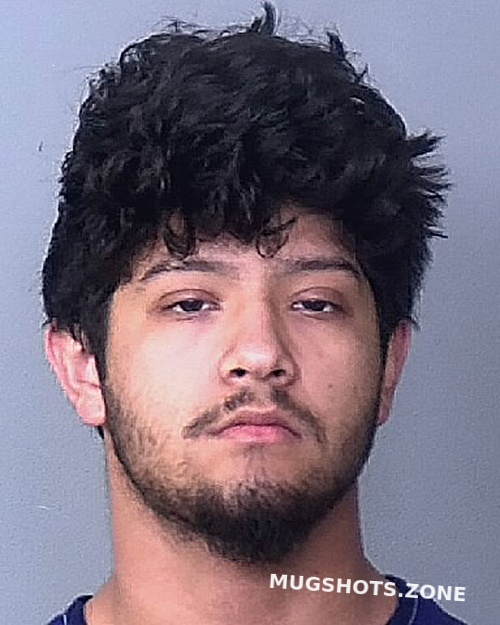 PEREZ JULIO 02/13/2023 Manatee County Mugshots Zone
