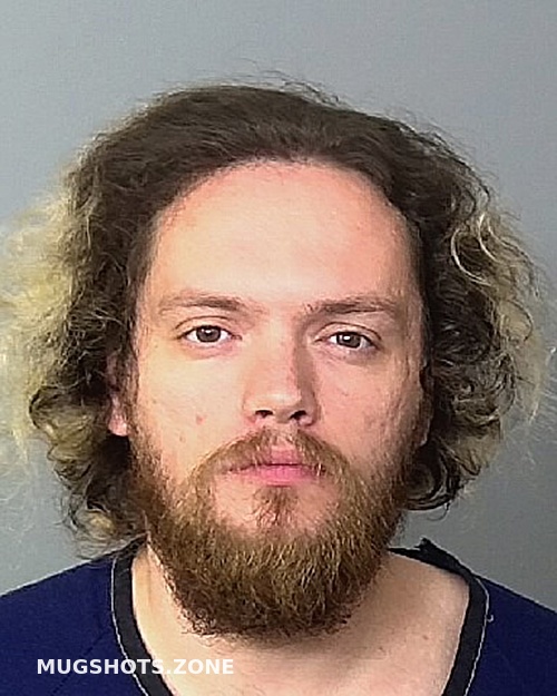 WILLIAMSON NIKOLAS A 05/29/2023 Manatee County Mugshots Zone