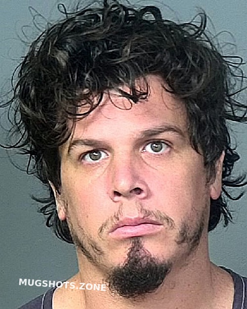 DAWSON PRESTON M 05/31/2023 Manatee County Mugshots Zone