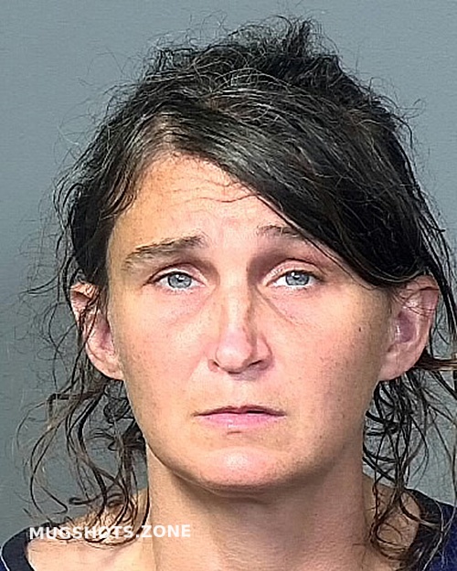 YEOMANS HEATHER A 06/15/2023 Manatee County Mugshots Zone