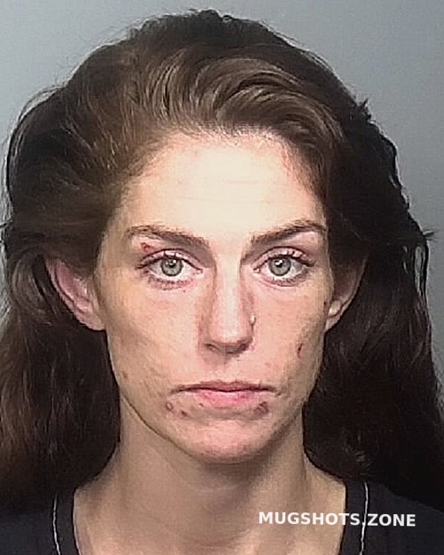 ROTHMAN VICTORIA H 10/15/2023 - Manatee County Mugshots Zone