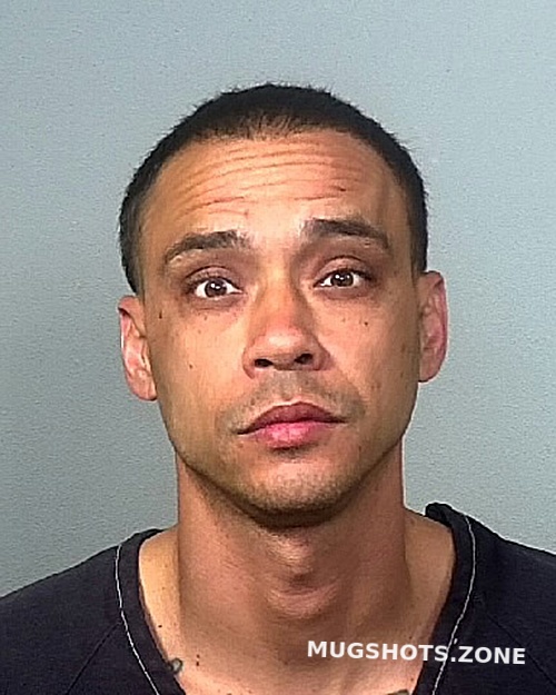 SUAREZ YASSEL 11/16/2023 Manatee County Mugshots Zone