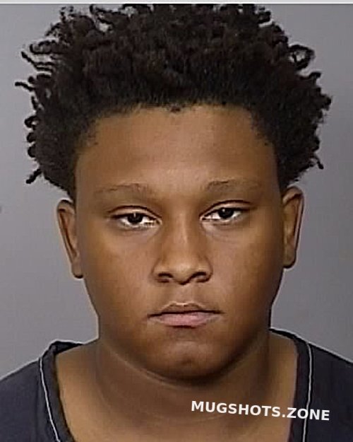 WEBSTER JAYLAND 12/02/2023 Manatee County Mugshots Zone