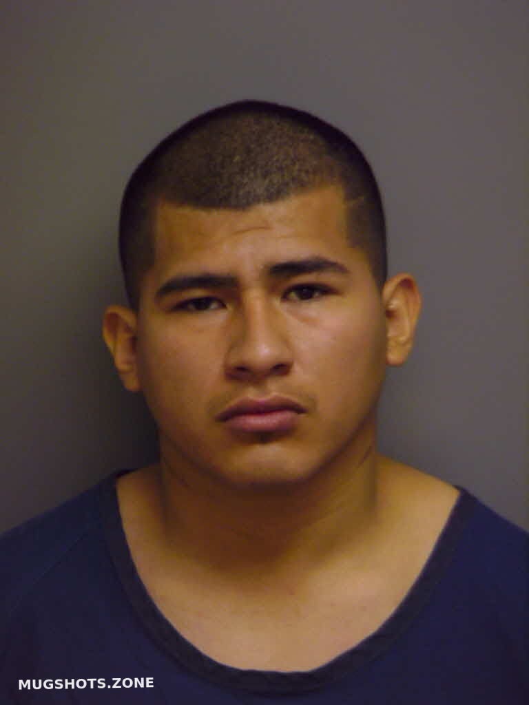 PENA 02/16/2024 Manatee County Mugshots Zone