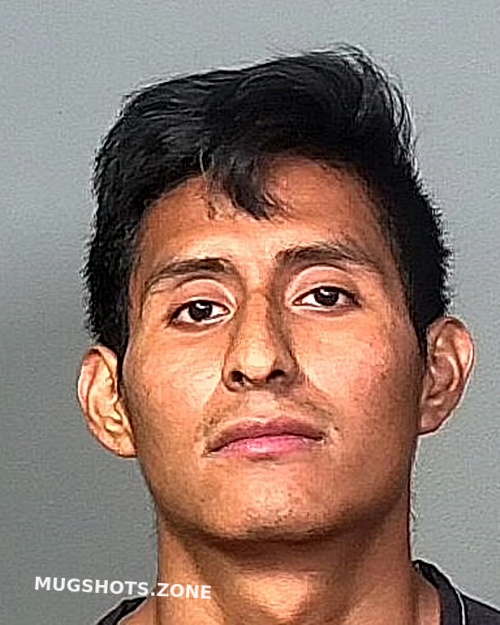 Velasquez Ventura Sebastian 04282024 Manatee County Mugshots Zone