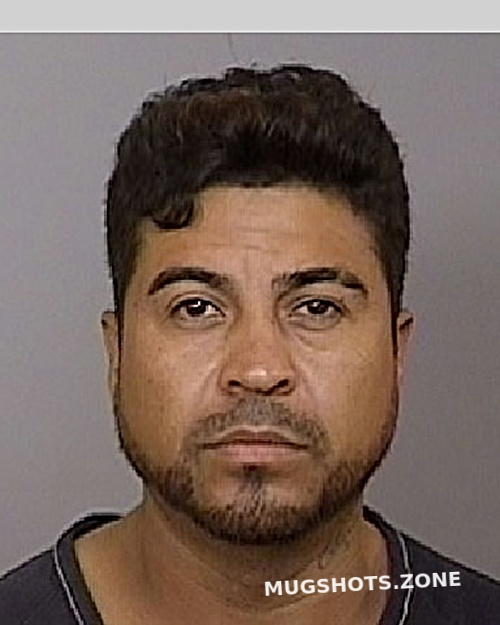 SALINIS MARTIN 05/10/2024 Manatee County Mugshots Zone