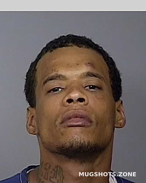 CARRION ERIC J 06/13/2024 Manatee County Mugshots Zone