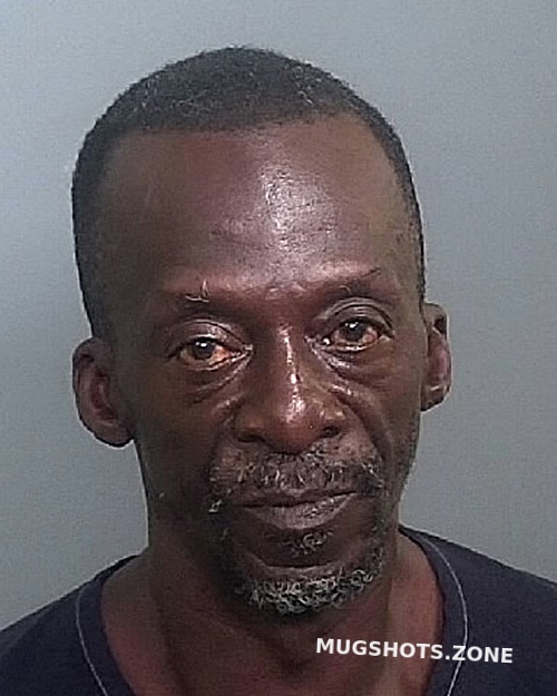 BROWN WALTER 06/13/2024 Manatee County Mugshots Zone