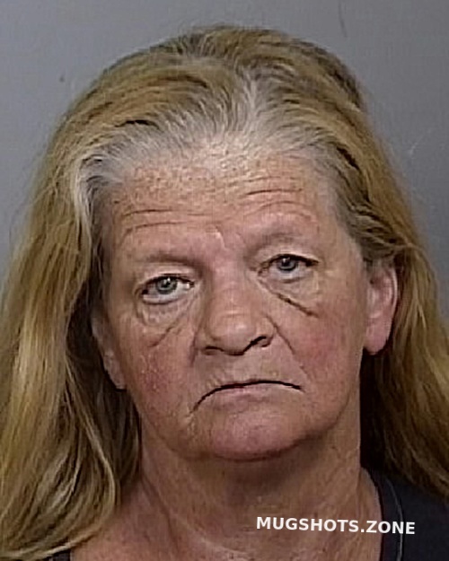 VELLIQUETTE CATHY L 06/22/2024 - Manatee County Mugshots Zone