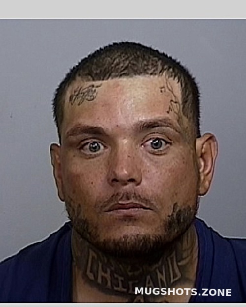 BORJA ALEJANDRO 10/29/2024 Manatee County Mugshots Zone(02)