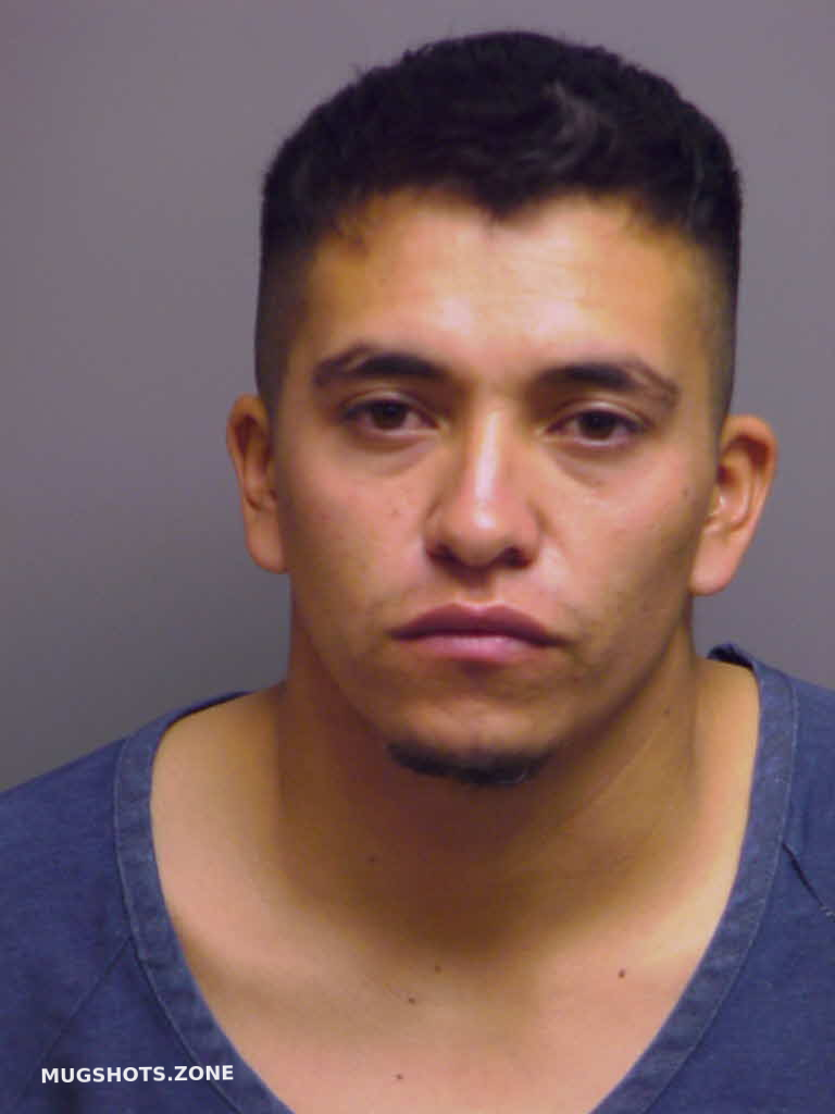 OCHOA GERSON 09/03/2025 Manatee County Mugshots Zone