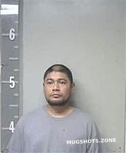 ANASTACIO ALEJANDRO 07/30/2025 Marshall County Mugshots Zone