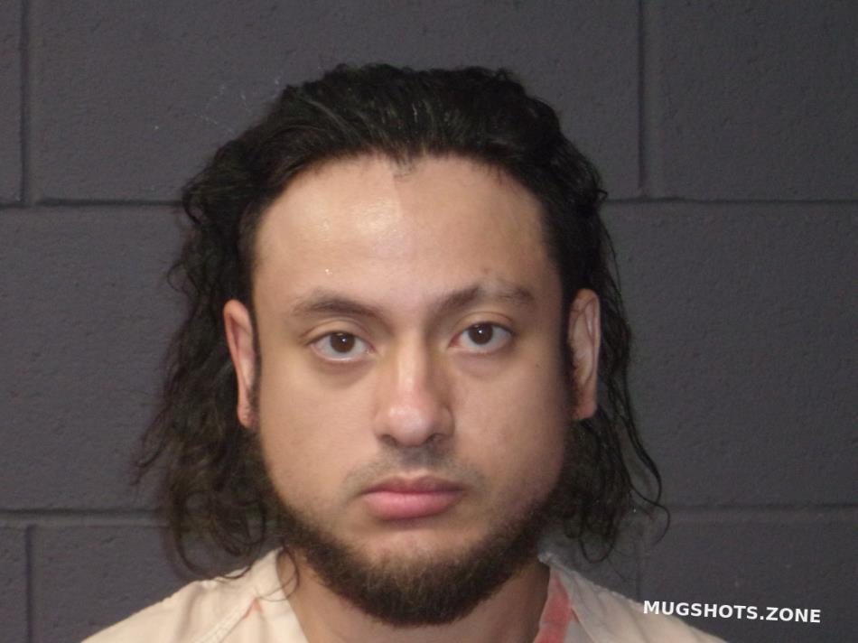 PALMA VICTOR ALFONSO 07/18/2024 Mcdonald County Mugshots Zone