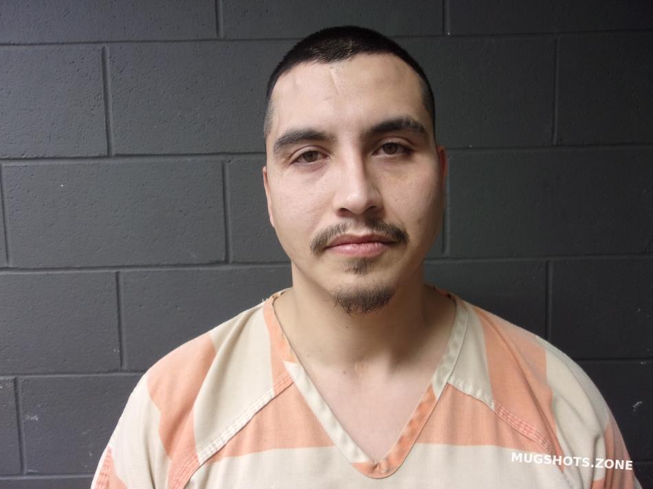 OLVERA OLVERA LUIS 01/16/2025 Mcdonald County Mugshots Zone
