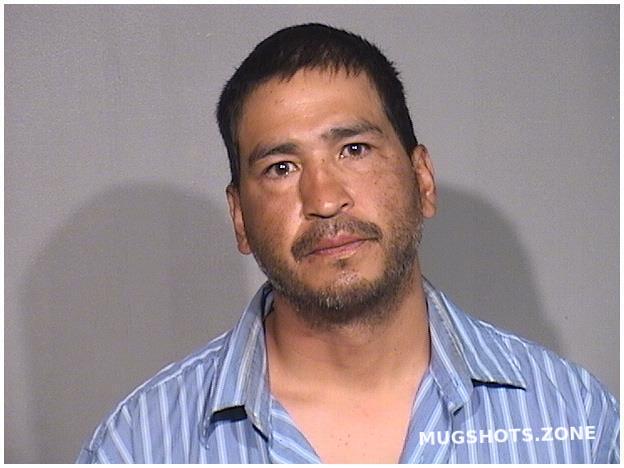 SEPULVEDA RAMON 05/15/2025 - Mchenry County Mugshots Zone