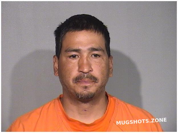 SEPULVEDA RAMON 07/16/2025 - Mchenry County Mugshots Zone