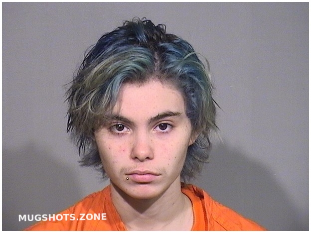 ALANAH POWERS 10/26/2025 Mchenry County Mugshots Zone ALANAH POWERS 10/26/2025 Mchenry County Mugshots Zone