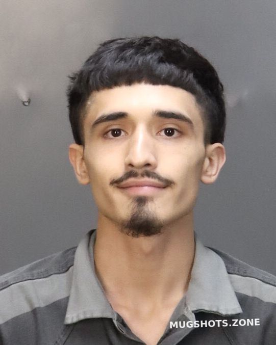 Cruz pedro 12 19 2023 mclennan county mugshots zone