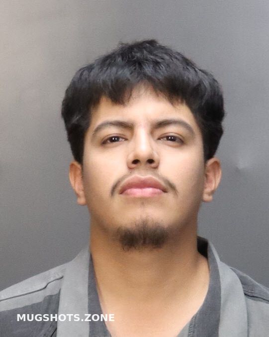 AZUA IVAN 02/02/2024 McLennan County Mugshots Zone
