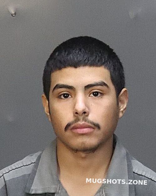 DELACRUZ LUIS 02/19/2025 McLennan County Mugshots Zone