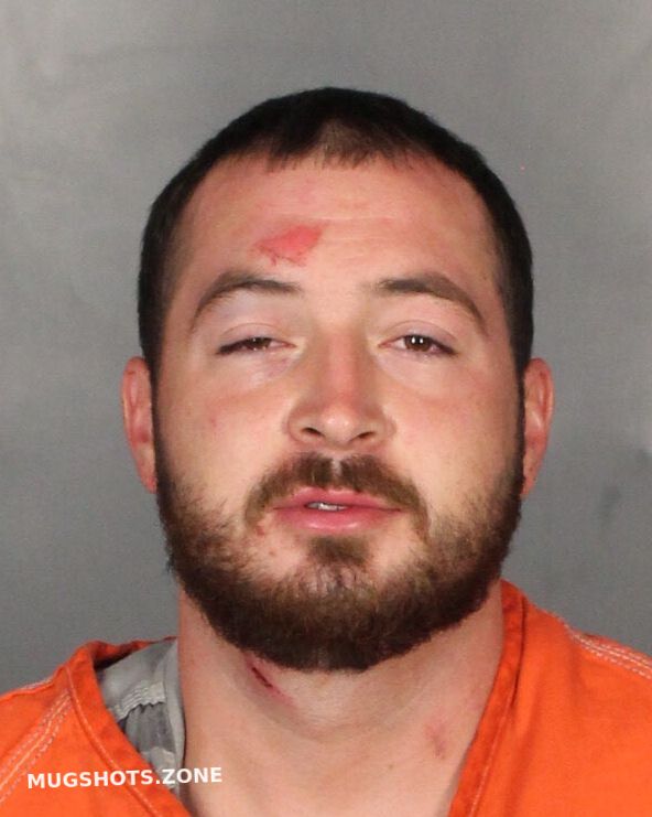 GATLIN AUSTIN 03/04/2025 McLennan County Mugshots Zone