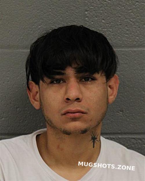 CELIS EDUARDO AYALA 02/05/2024 - Mecklenburg County Mugshots Zone