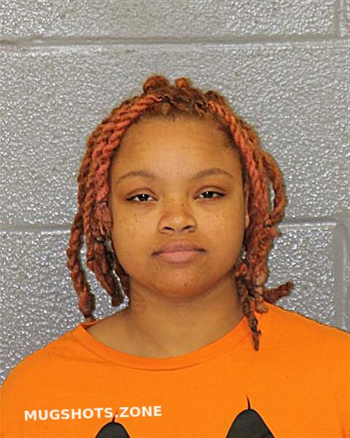 YOUNG JADA 02/18/2025 Mecklenburg County Mugshots Zone