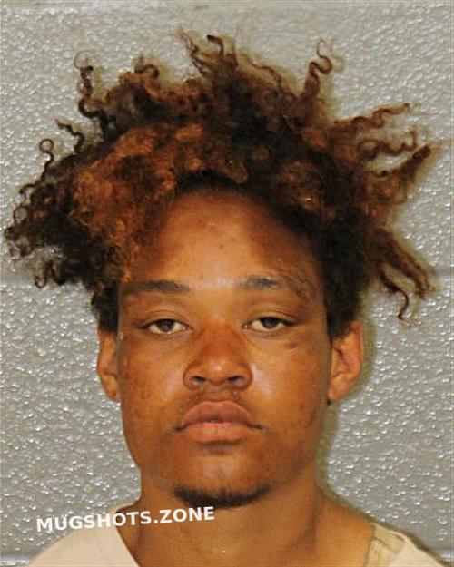 PETERS RENEE 04/25/2025 Mecklenburg County Mugshots Zone