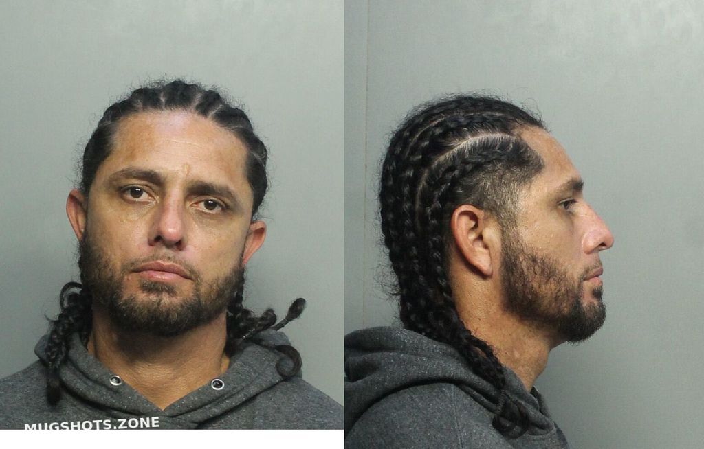 CASTRO JAMES Miami Dade County Mugshots Zone