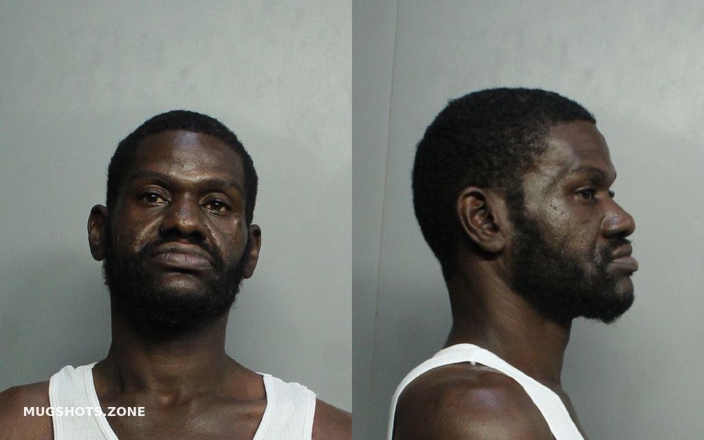 Cobb Aaliyah Shaquanah Miami Dade County Mugshots Zone My XXX Hot Girl