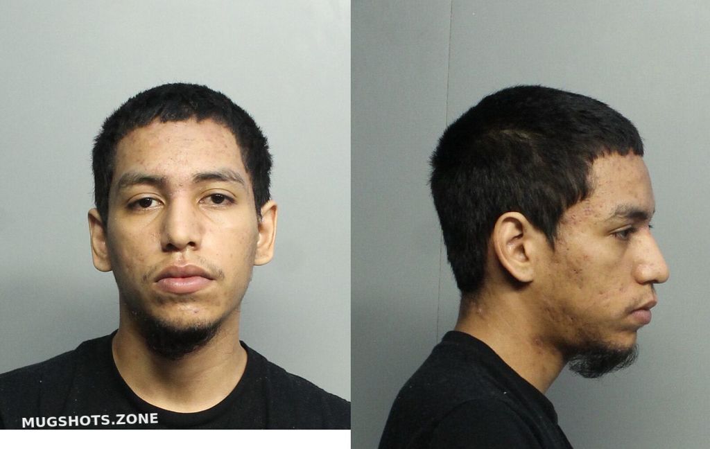 Alvarez Kenenth William 02 12 2021 - Miami-dade County Mugshots Zone