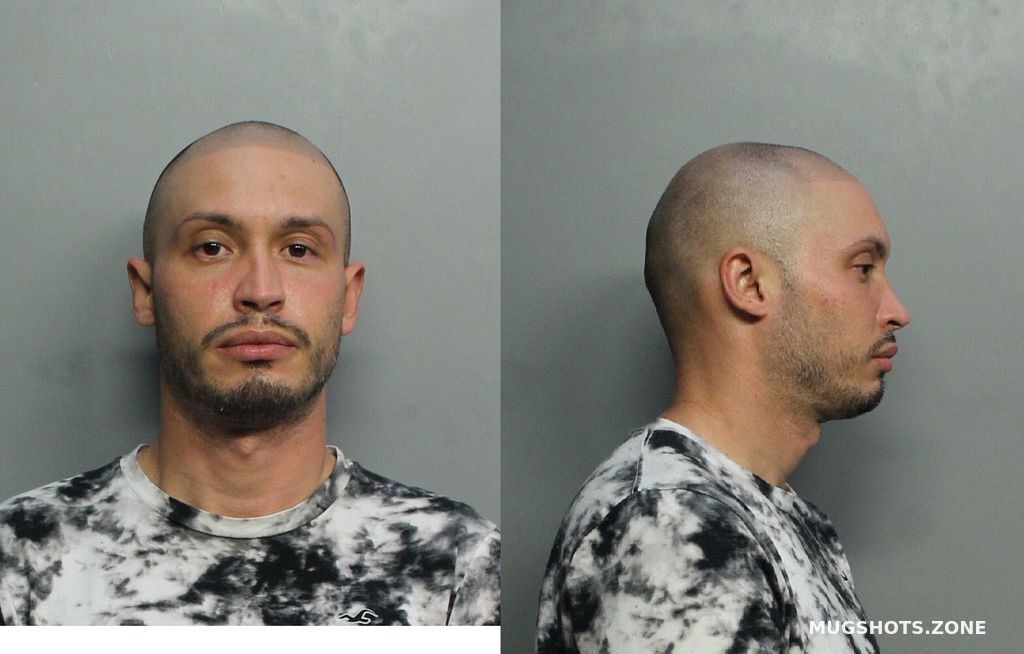 ALVAREZ ISMAEL 02/17/2021 - Miami-Dade County Mugshots Zone