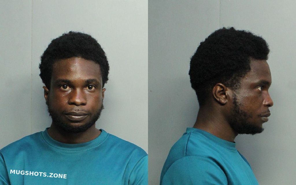 Reid Andre 02182021 Miami Dade County Mugshots Zone 