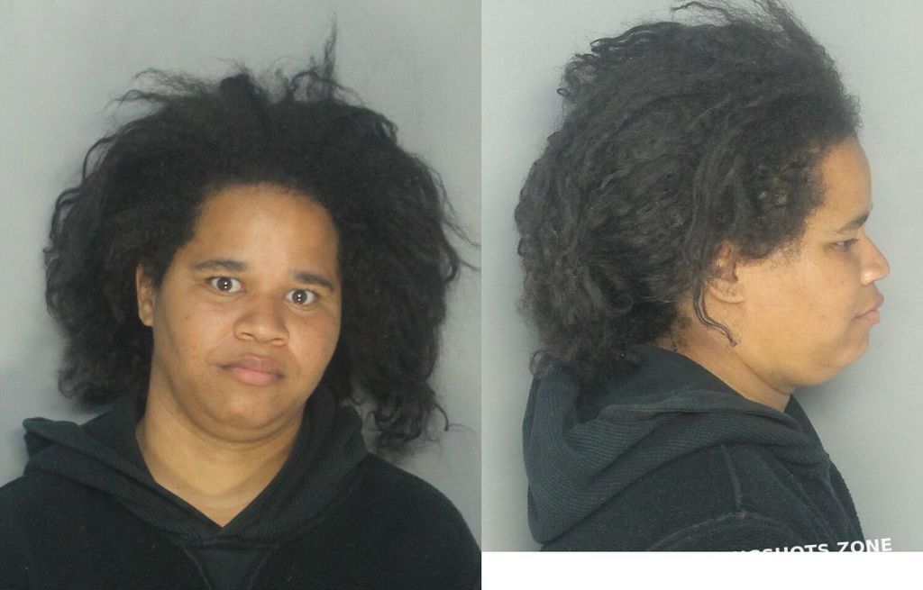 DAVIS JASMINE 04/04/2021 MiamiDade County Mugshots Zone