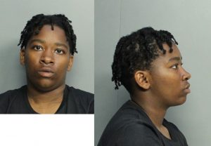 WELLINGTON TAMERA MARIE 05/03/2021 - Miami-Dade County Mugshots Zone